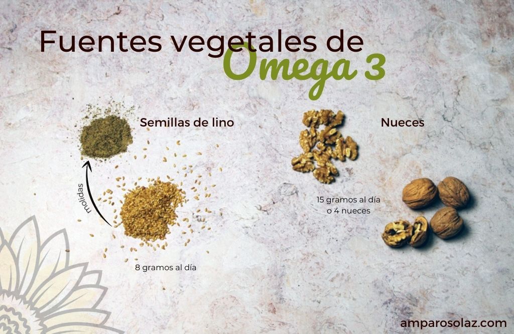 fuentes vegetales de omega 3